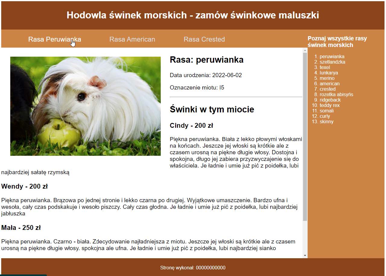 inf_03_2024_06_11_miniatura