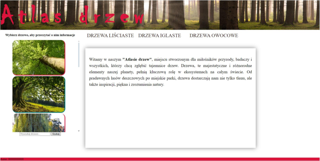 INF.03 – czerwiec 2026, arkusz 11 – atlas drzew